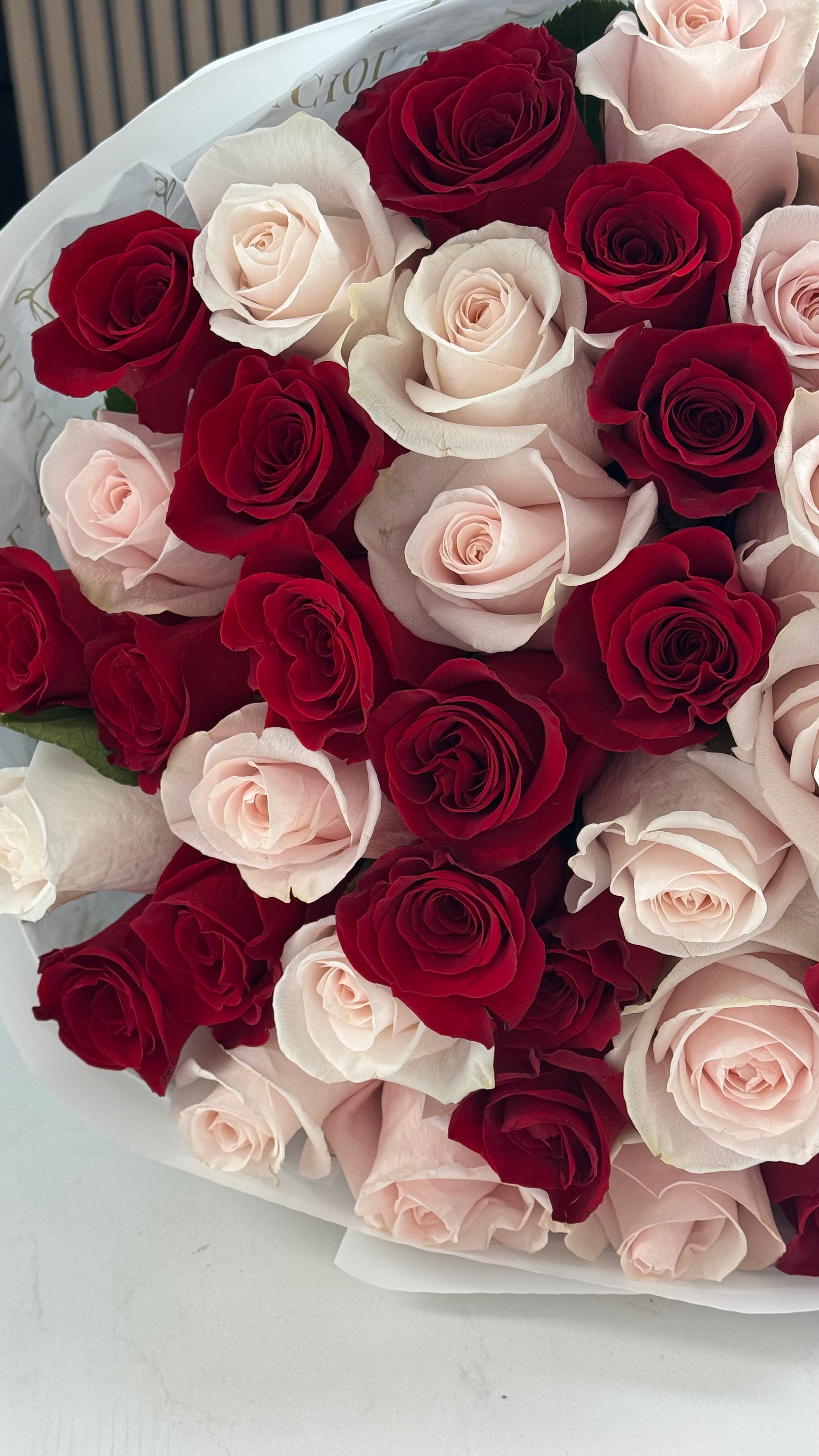 "Queen of Roses" Roses