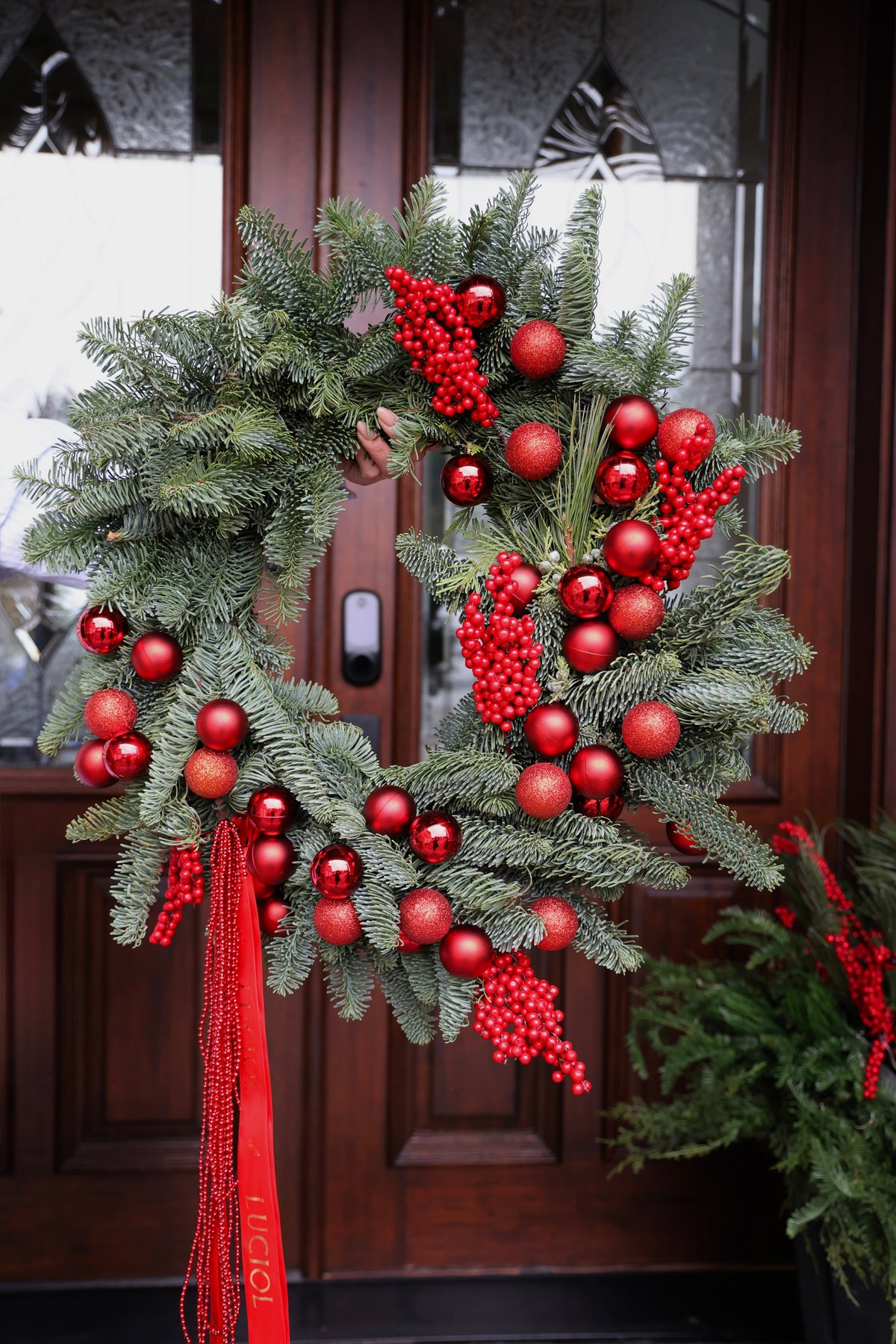 Holiday Magic Collection