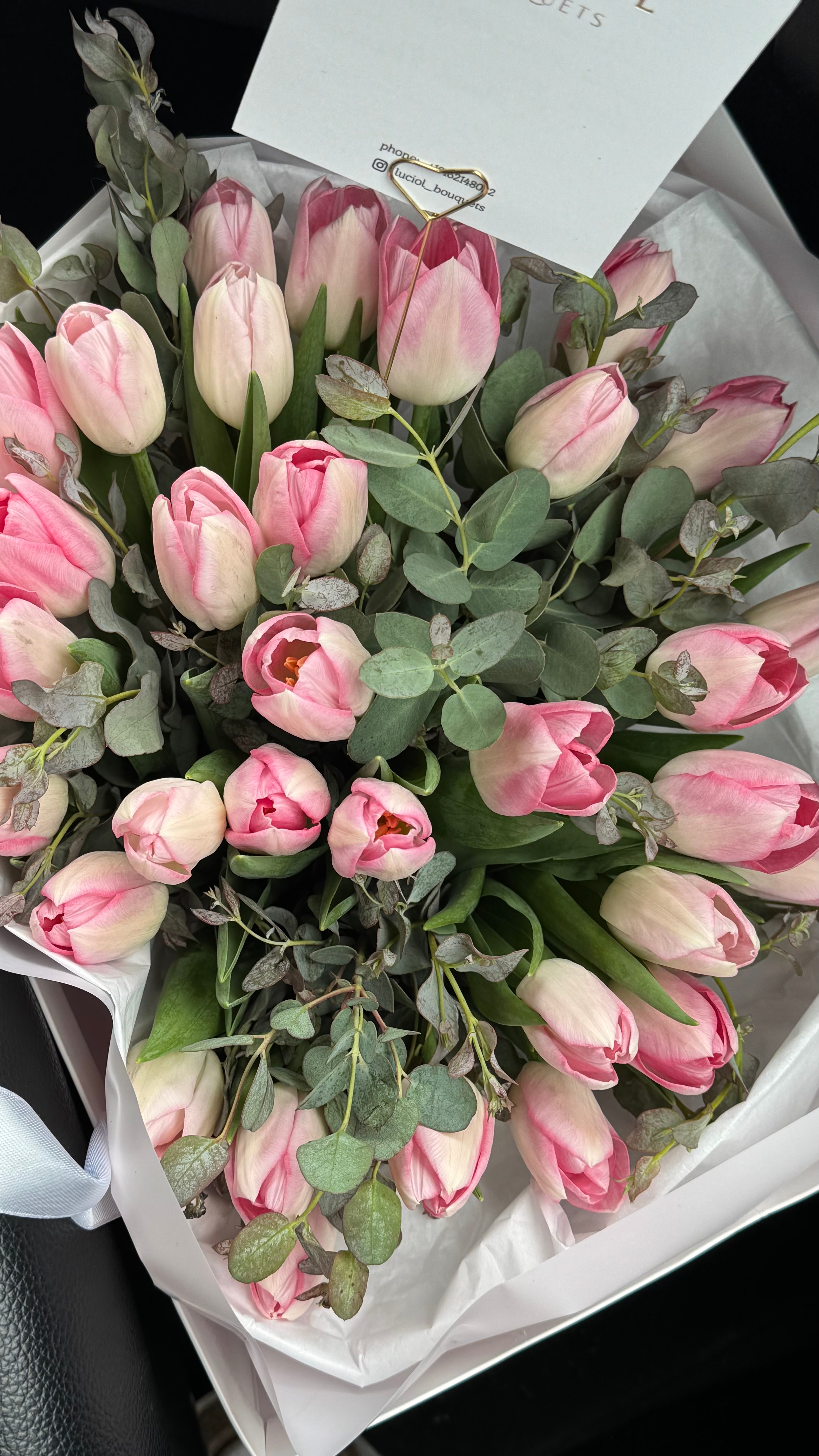 “Pink Morning Bloom” tulips