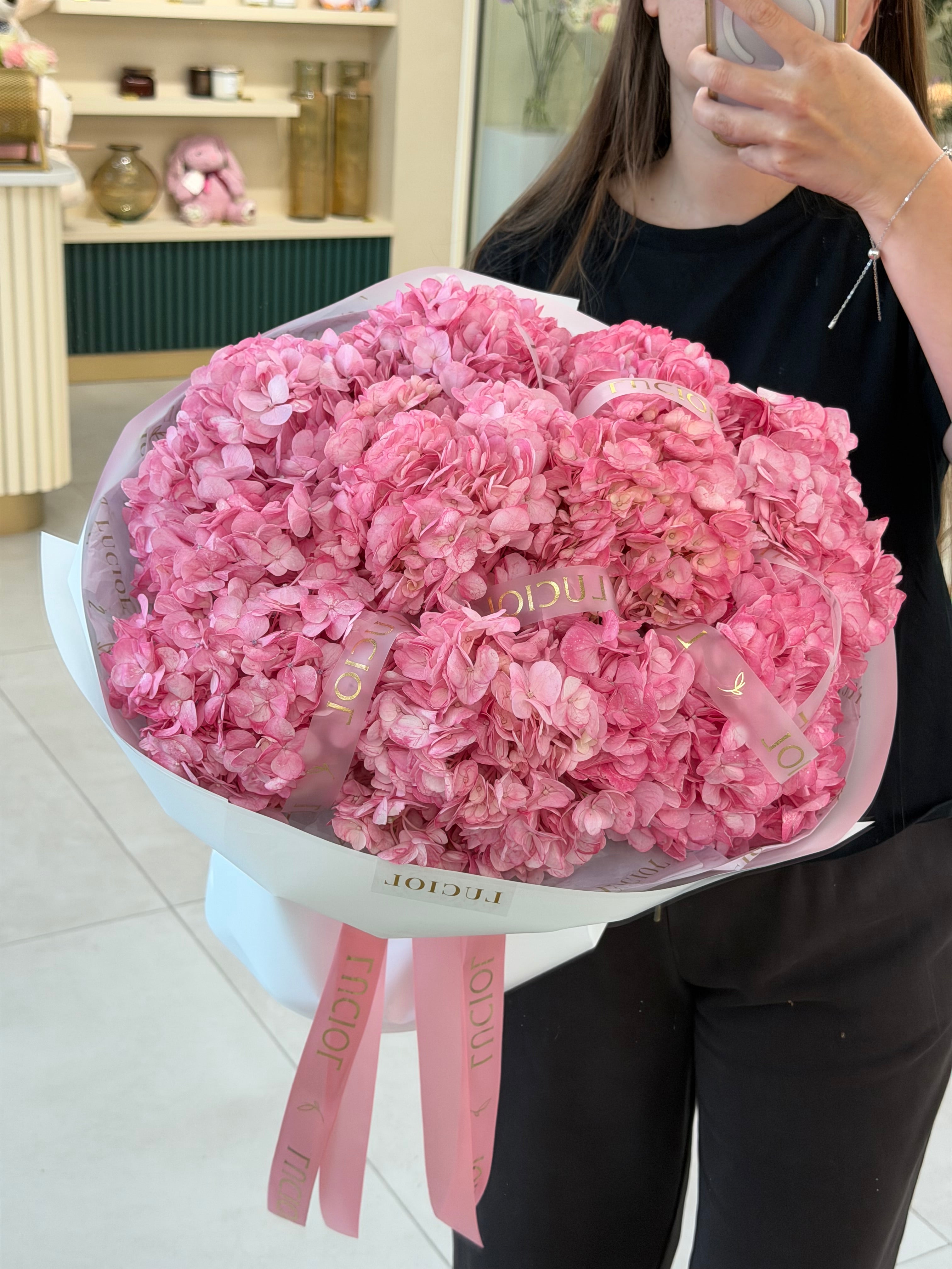 Pink Hydrangea Dream