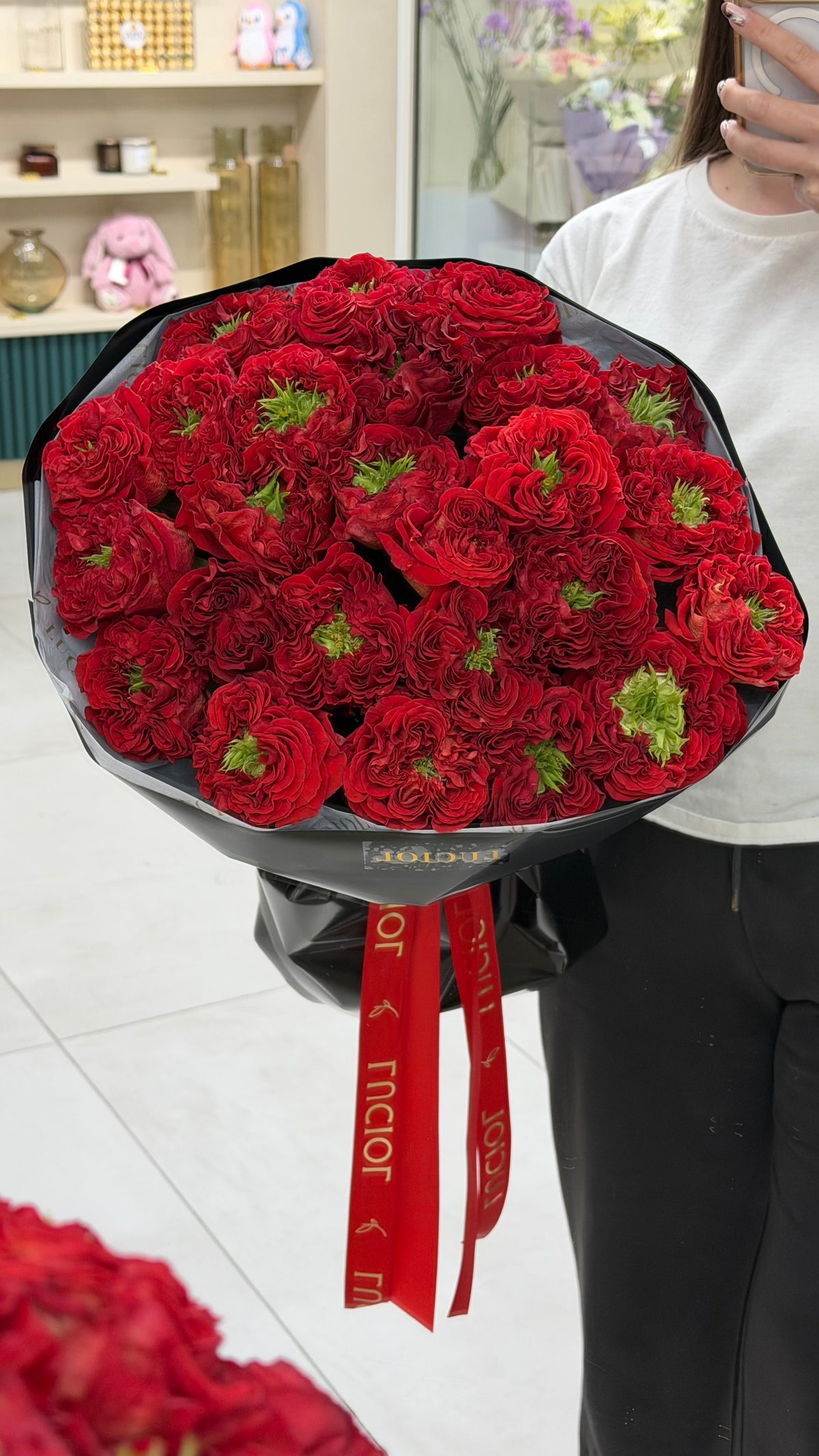 “Red monster” Peony roses