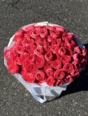 «Sweet Cherry Romance» garden roses