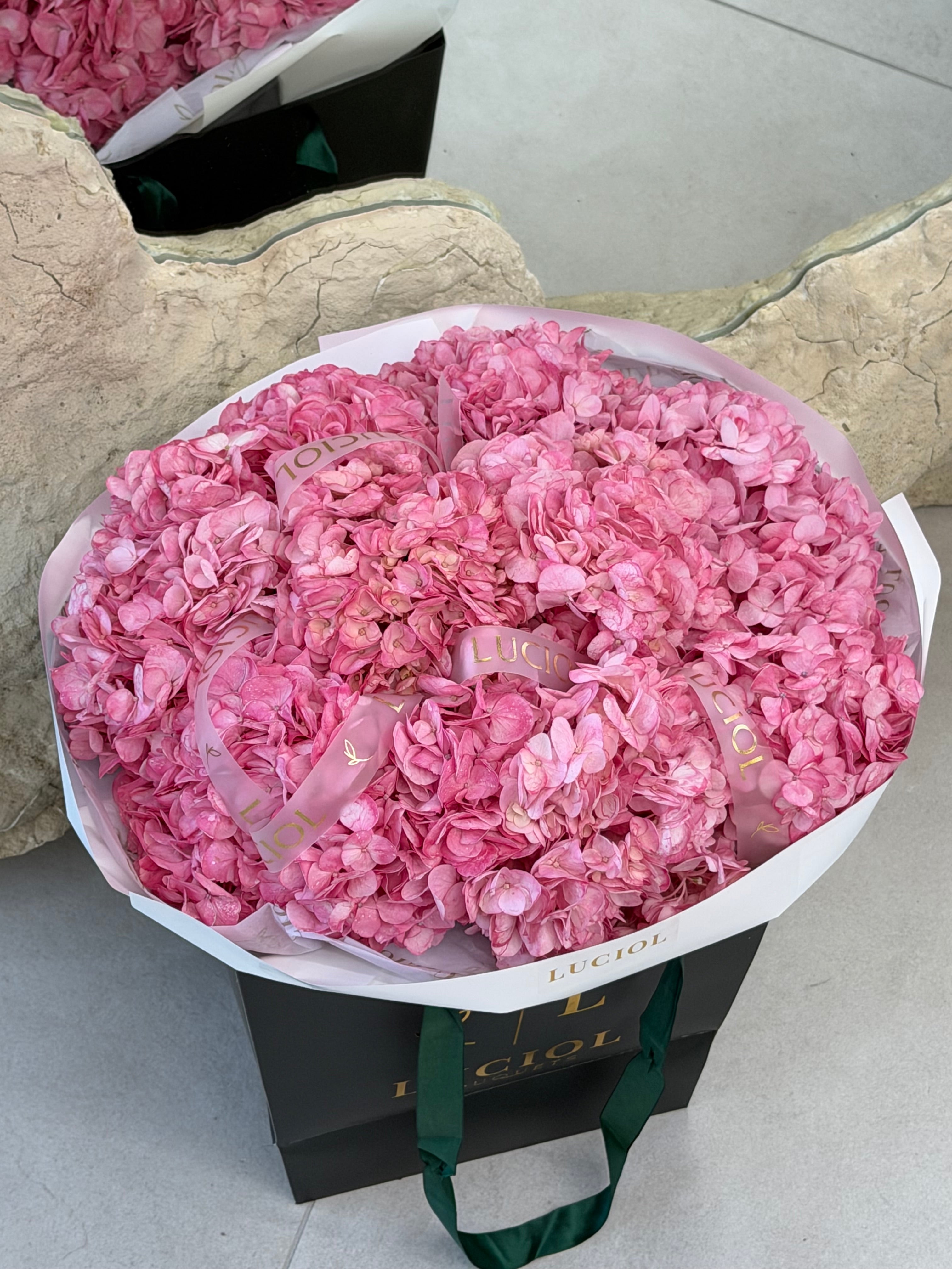 Pink Hydrangea Dream