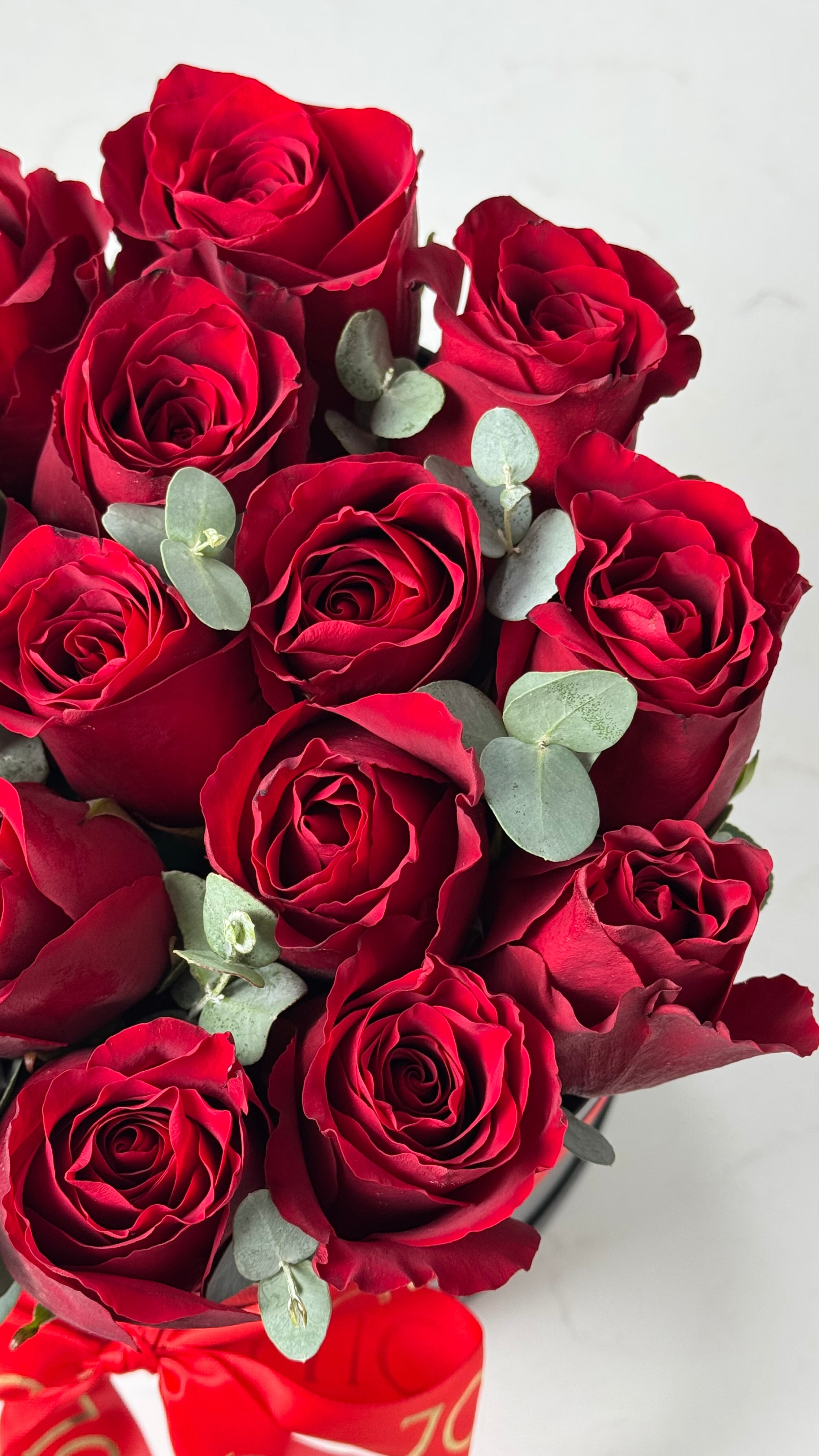 “Velvet Desire” red roses