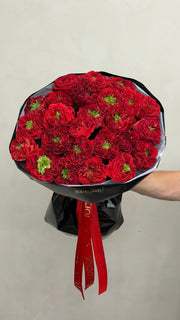 “Red monster” Peony roses