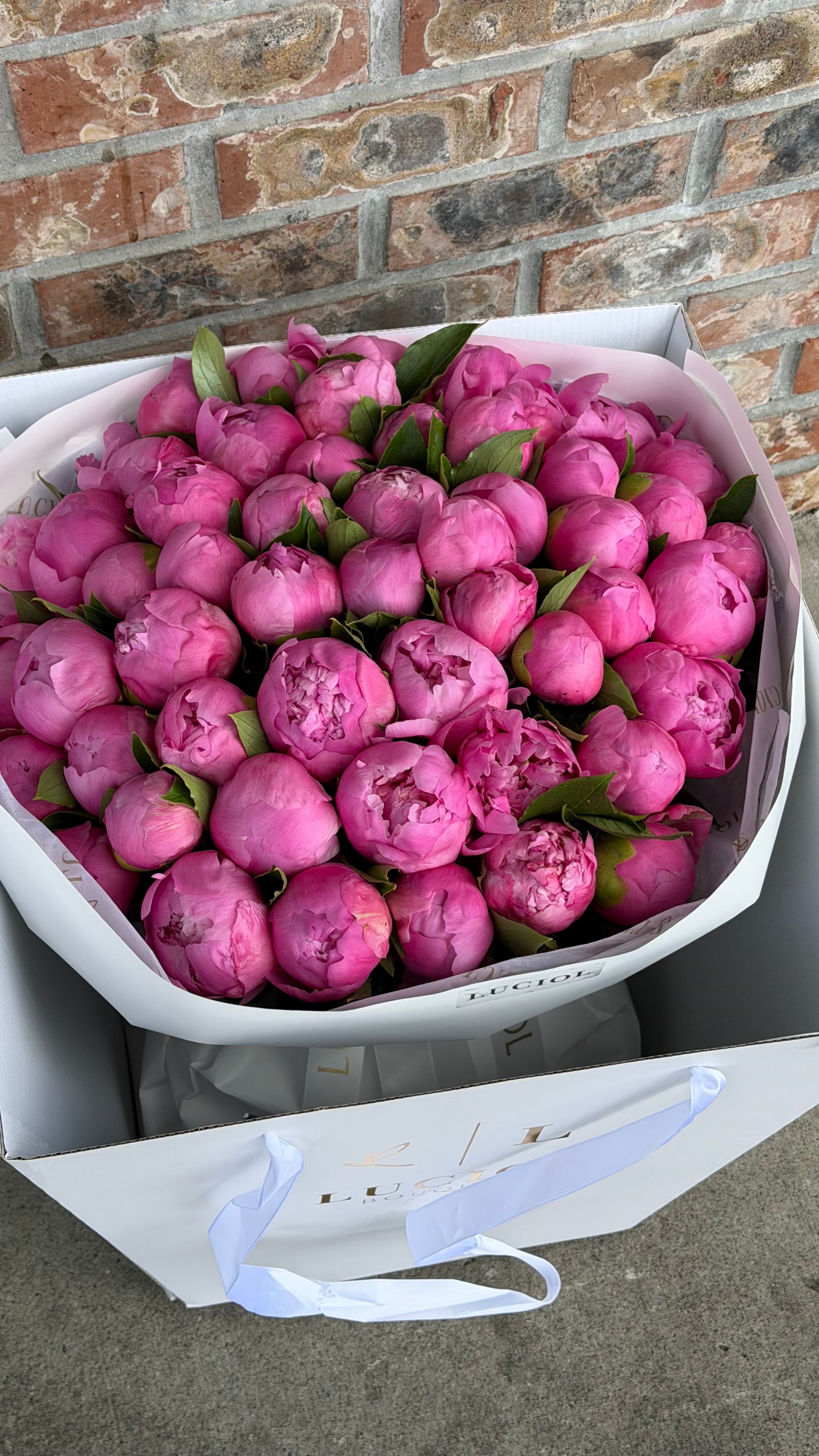 Pink peonies