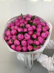 Pink peonies
