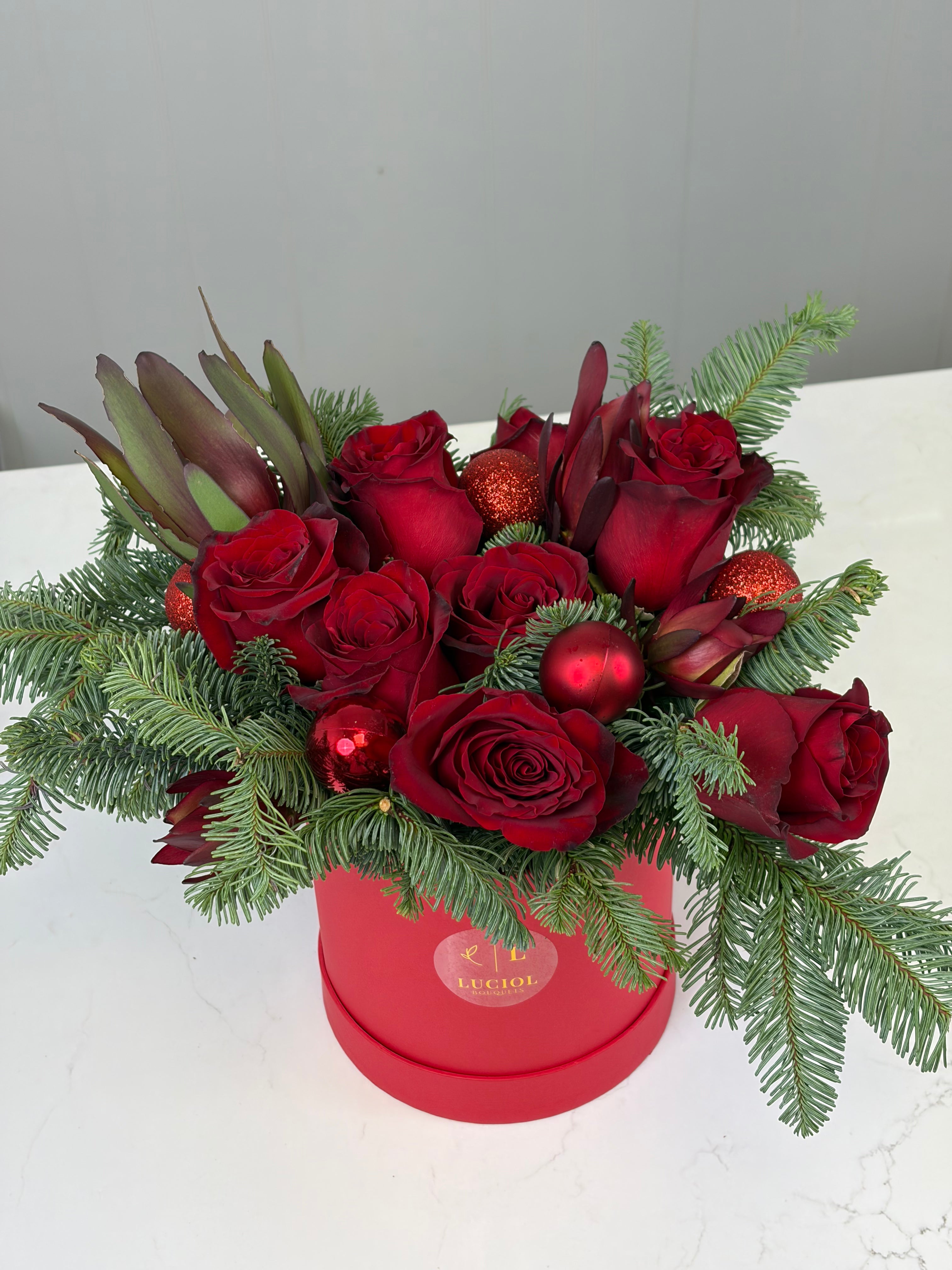 Christmas composition ✨