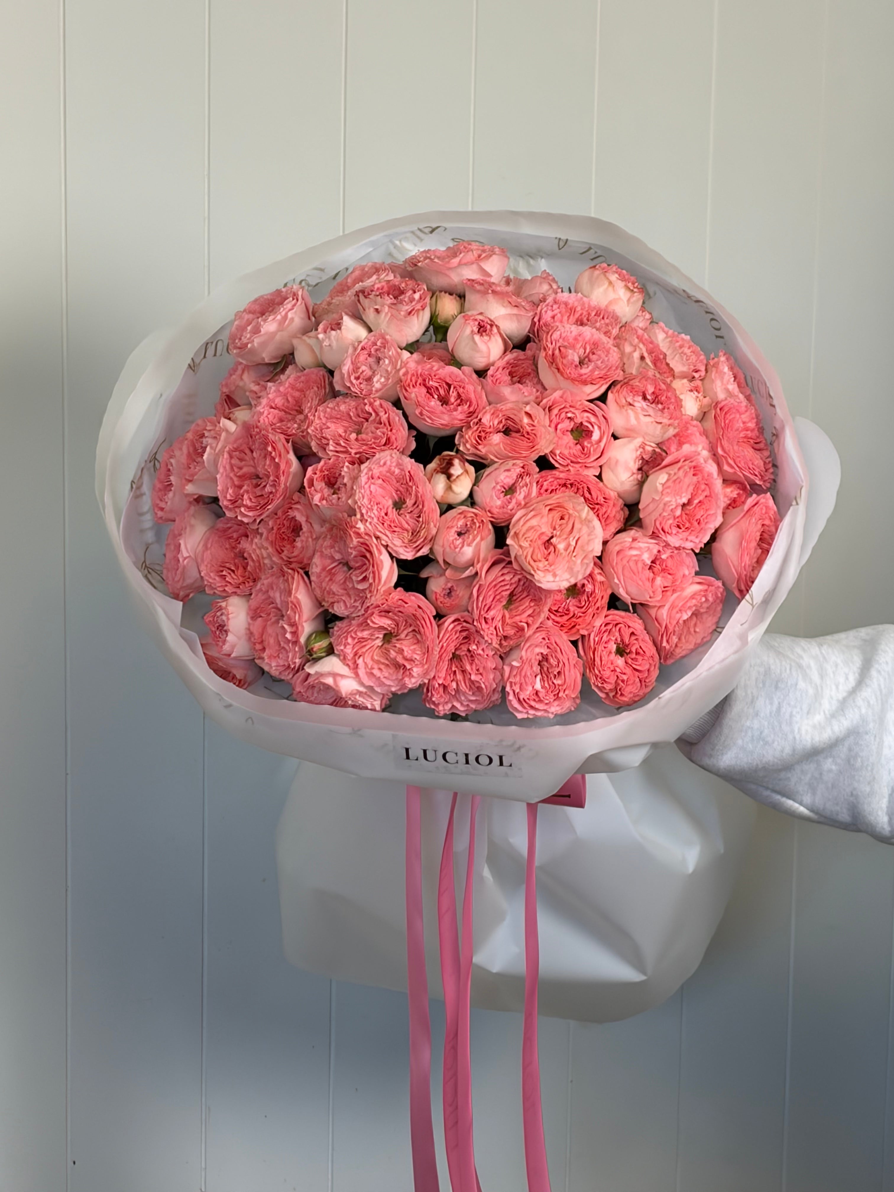 Rose Garden “Isabella”