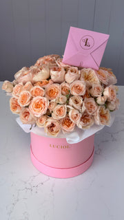 blush-garden-spray-roses-box-seattle.jpg
