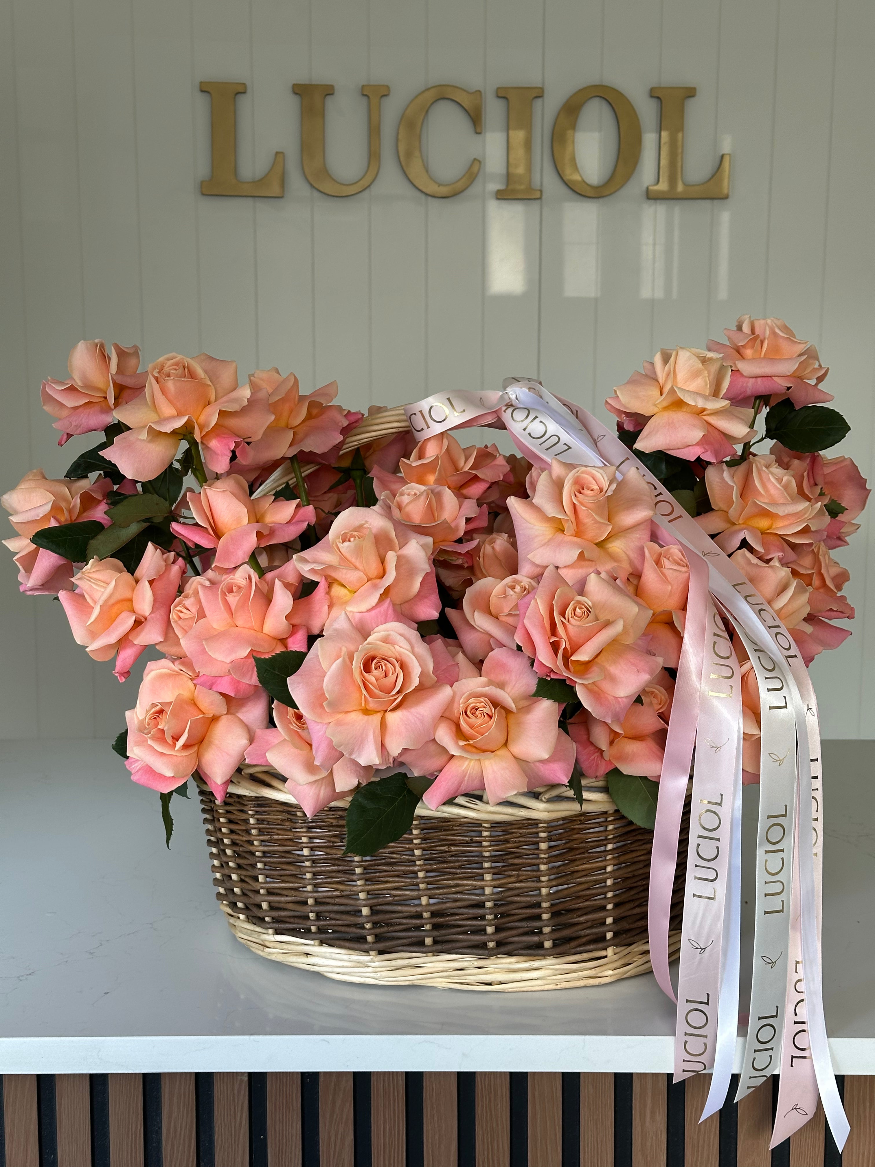 LUCIOL 