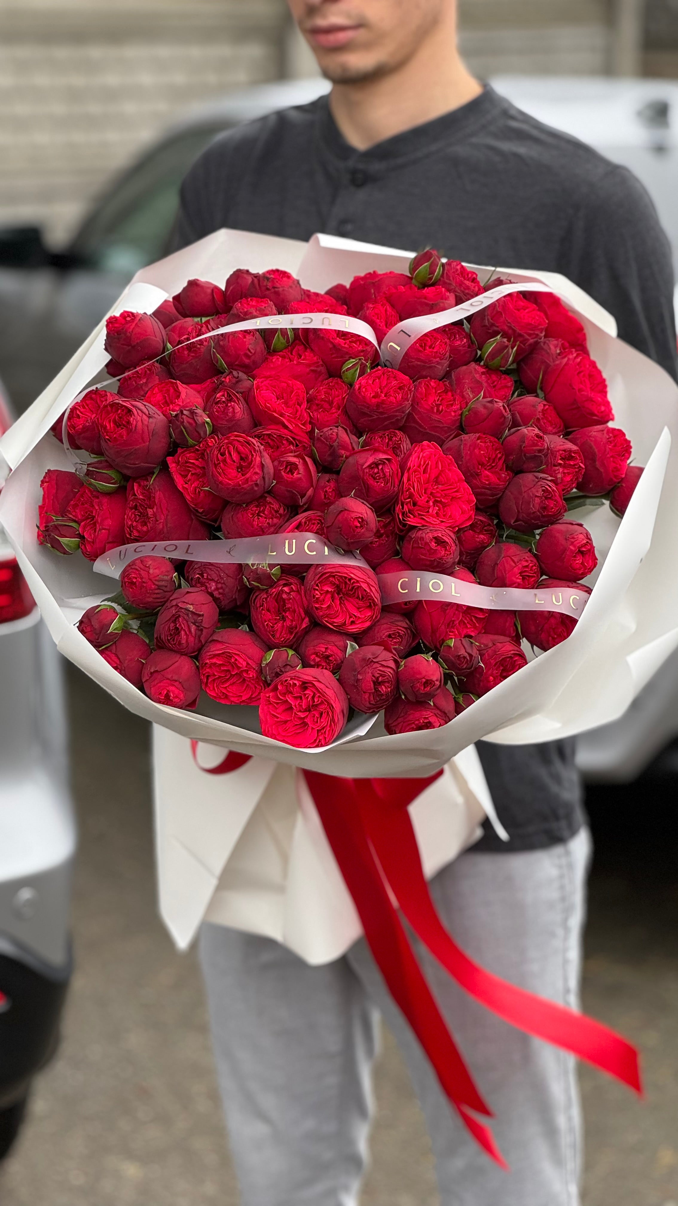 "Magic Gift" Red Garden Roses