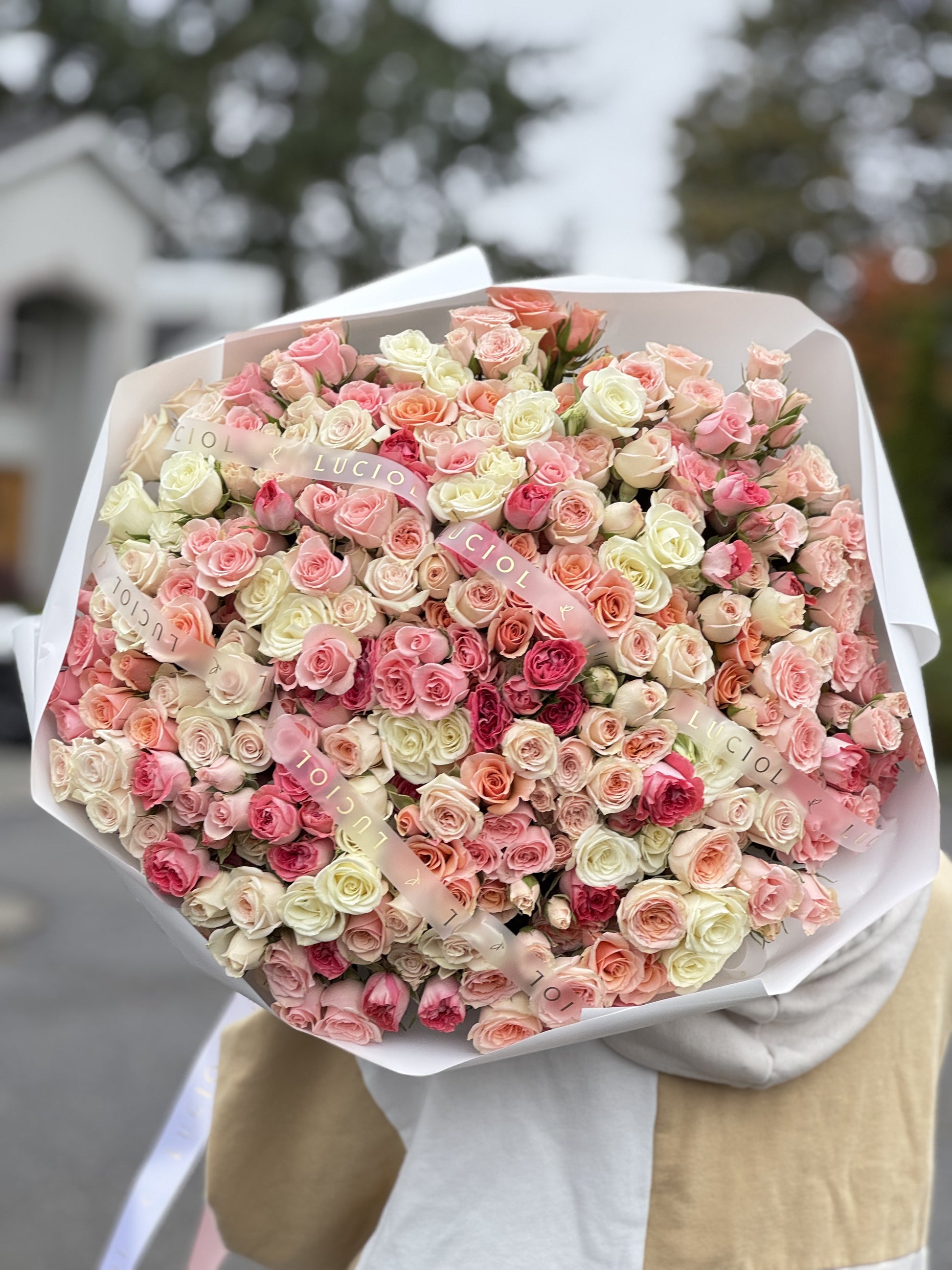 spray roses vs garden roses "Spark of Light" mix spray roses