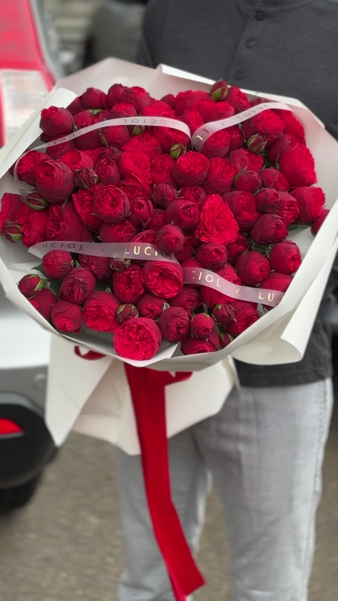 Load video: &quot;Magic Gift&quot; Red Garden Roses