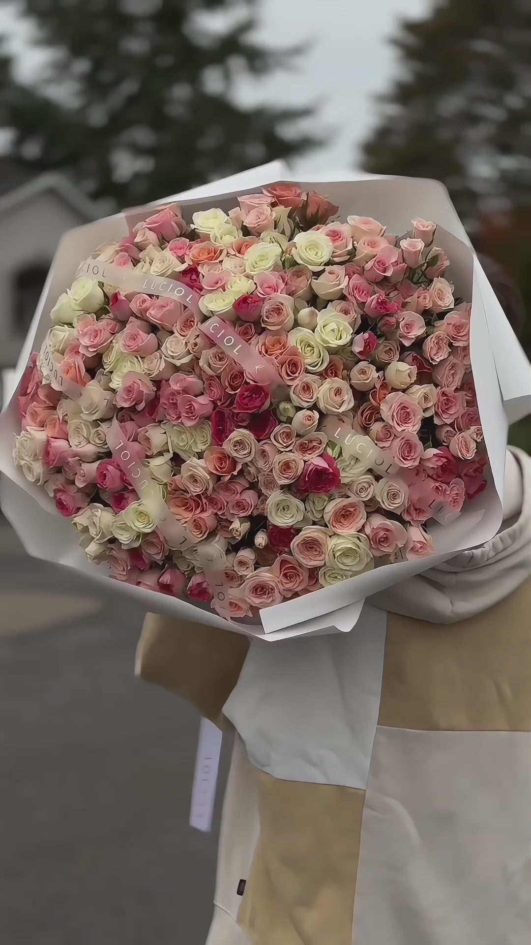 Load video: &quot;Spark of Light&quot; mix spray roses
