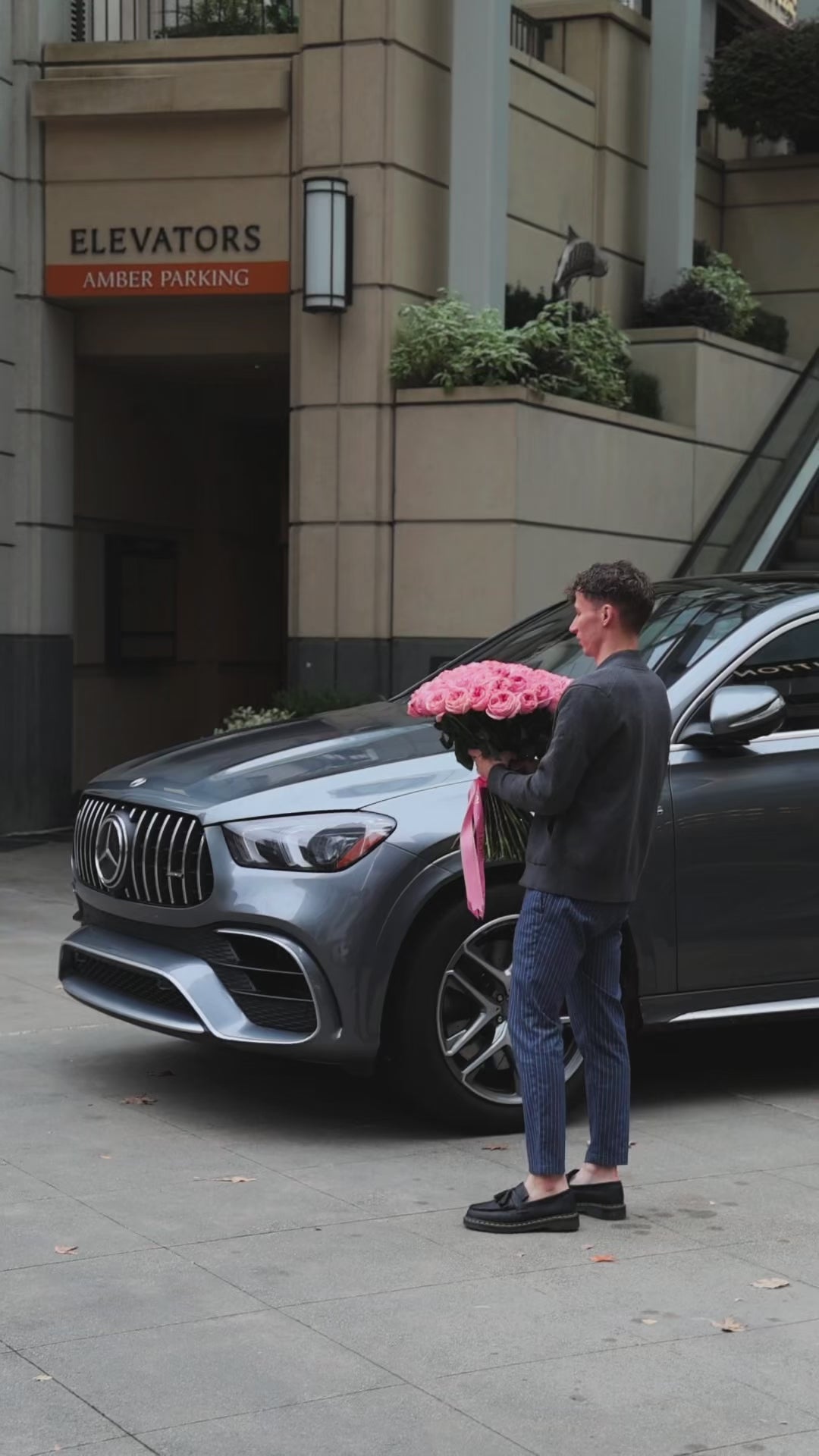 Load video: Blush Promise – Pink Garden Roses