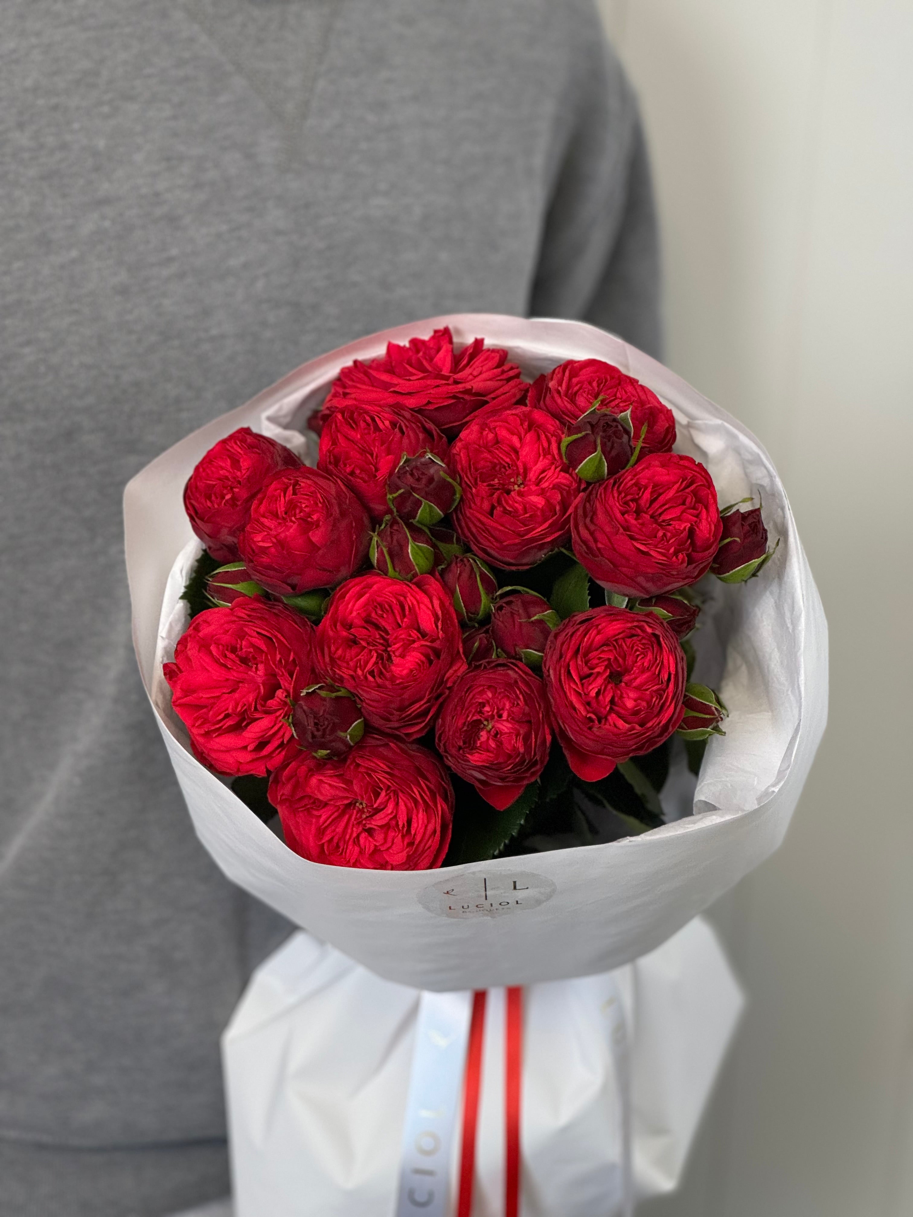 "Magic Gift" Red Garden Roses