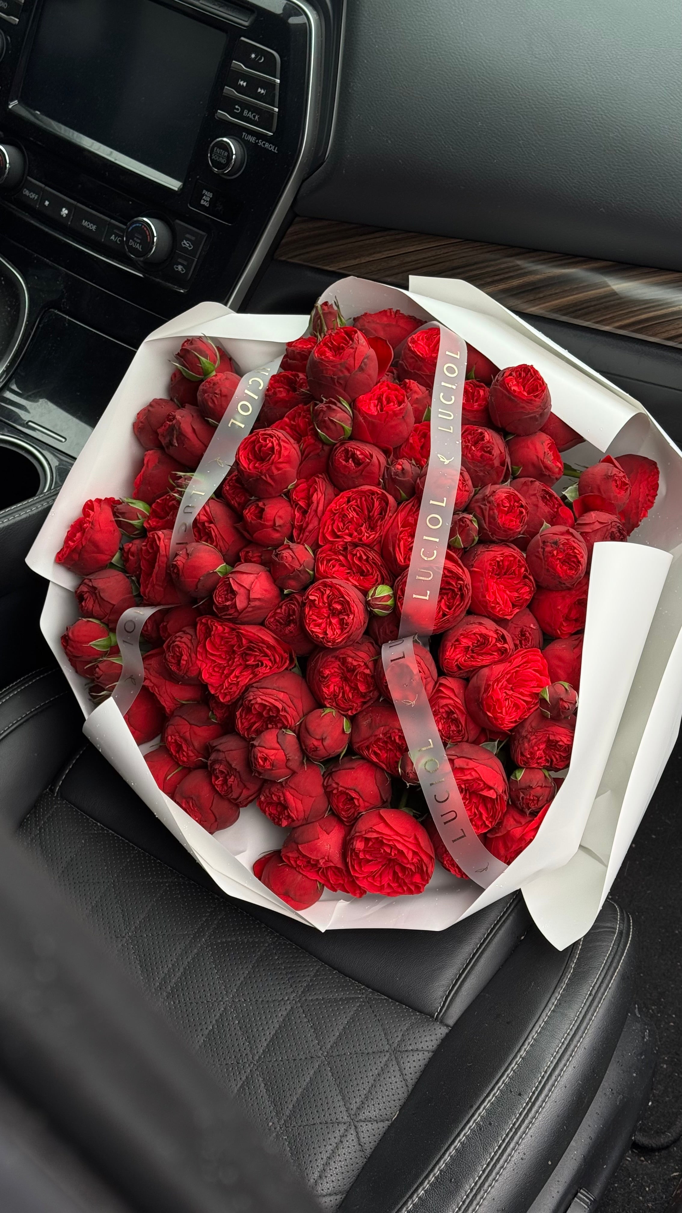 "Magic Gift" Red Garden Roses