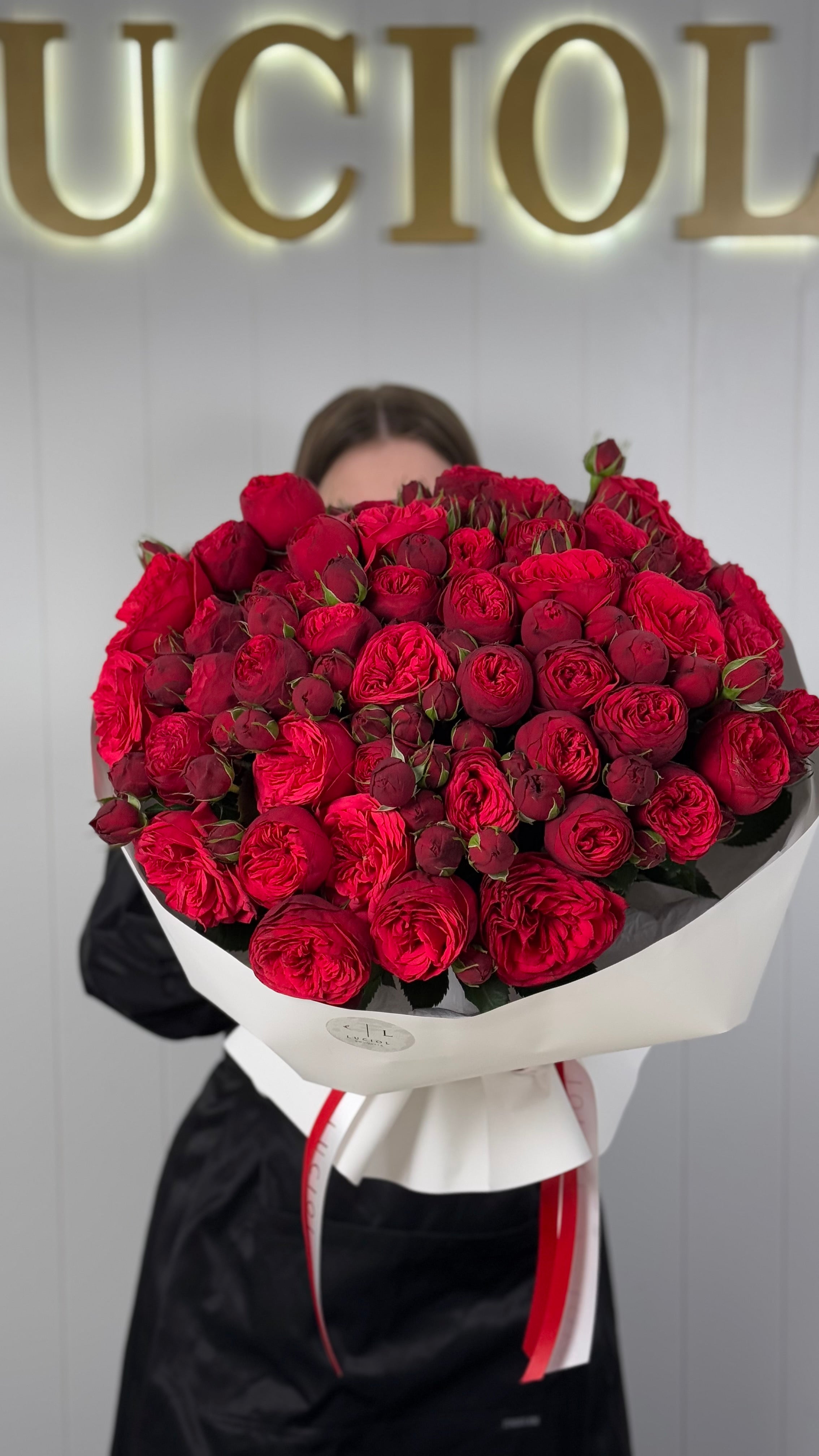 "Magic Gift" Red Garden Roses