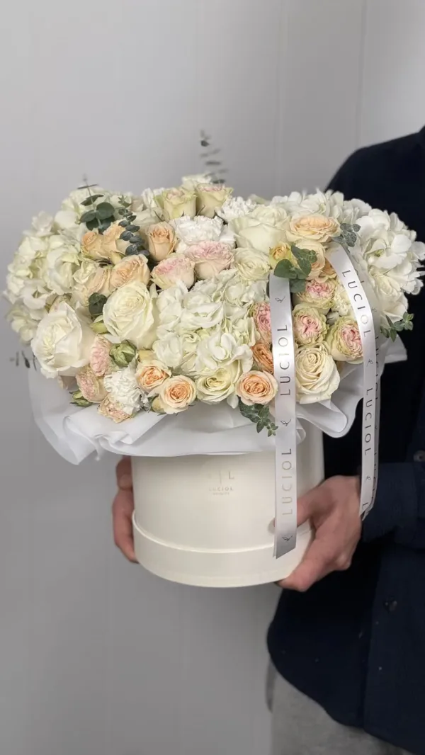 flower-box-spring-wind