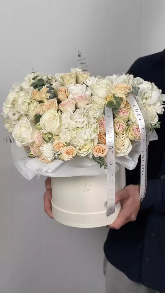 Flower Box – Spring Wind